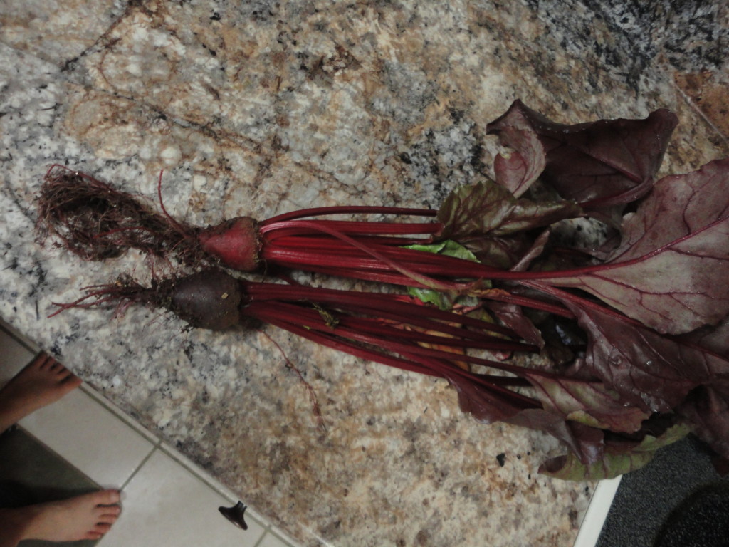 DSC02844